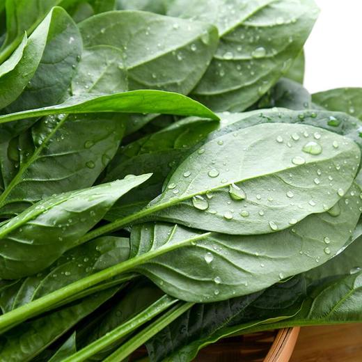 放心嫩嫩菜(菠菜) 200g/袋 商品图2