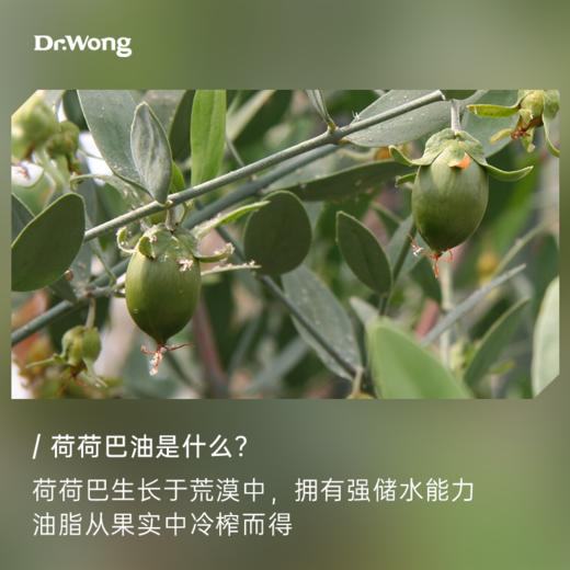 「荷荷巴油」 基础油 商品图1