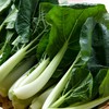 放心嫩嫩菜(奶白菜) 200g/袋 叶菜 商品缩略图3