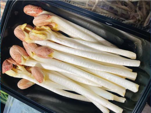 花生芽一盒 商品图0