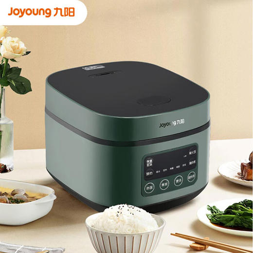 九阳 电饭煲F30FZ-F636【粤湾】 商品图1