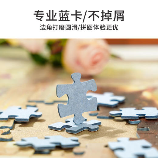 TOi图益-潮玩拼图系列-鎏金花园-1000片-分包款 商品图2