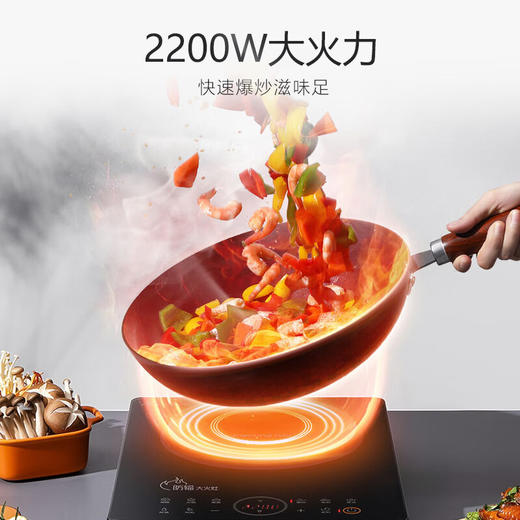 九阳电磁炉C22-F7【粤湾】 商品图2