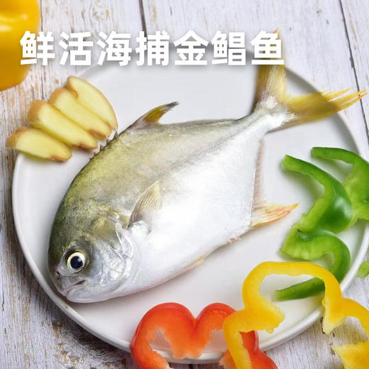 味尔佳-金鲳鱼550-650g/条 商品图1