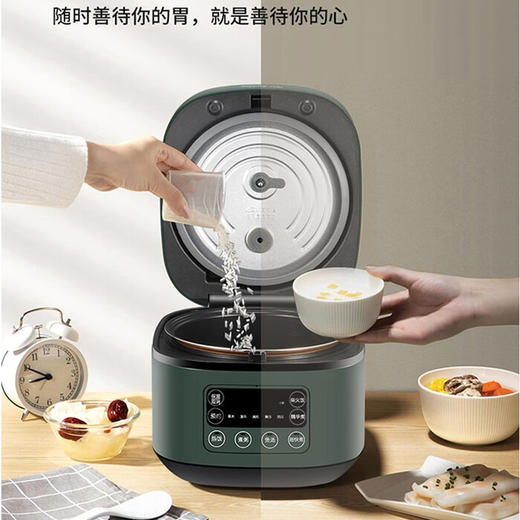 九阳 电饭煲F30FZ-F636【粤湾】 商品图2