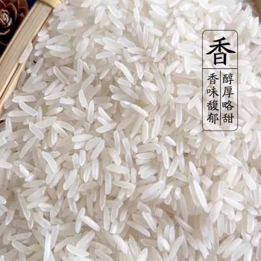 【严选】湖北江汉大米 当季新米长粒晚香米软糯清香  名宇江汉大米（两面监利香米）5kg/袋（厂家直发） 商品图1