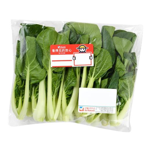 放心嫩嫩菜(奶白菜) 200g/袋 叶菜 商品图1