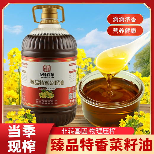 【严选】乡味百年&荆楚粮油 湖北潜江非转基因菜籽物理压榨 臻品特香菜籽油 5L/桶 （厂家直发） 商品图0