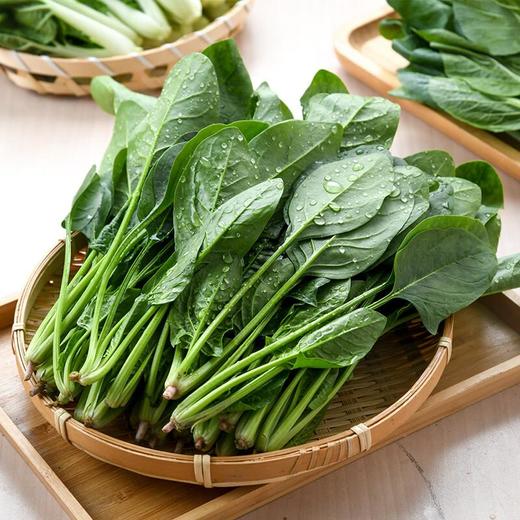 放心嫩嫩菜(菠菜) 200g/袋 商品图0