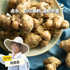 生态沙姜 | 合作生产* Eco-sand ginger | Coproduction