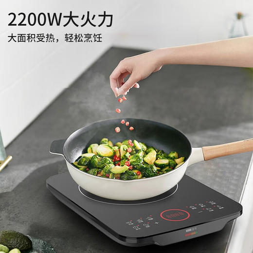 九阳电磁炉C22-F5【粤湾】 商品图3