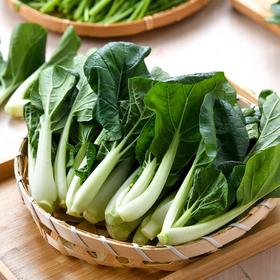 放心嫩嫩菜(奶白菜) 200g/袋 叶菜