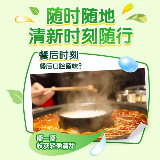 绿箭脆皮软心薄荷糖原味薄荷80克瓶装 商品图2