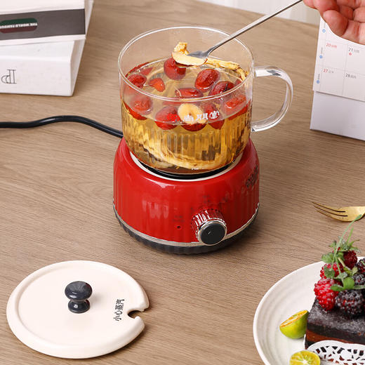 【多样屋专柜】尚朋堂养生壶家用办公室恒温养生杯600ML 商品图3