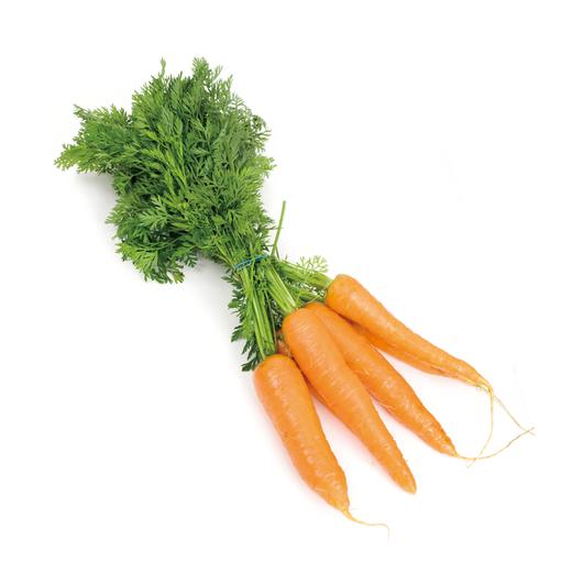 带缨胡萝卜  约450g-500g 买放心菜就上瑞和泰 商品图0