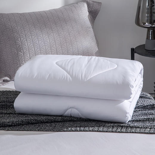 【多样屋专柜】罗莱七孔云柔四季被200*230cm 商品图2