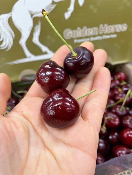 马牌黑车厘子一箱 商品图3