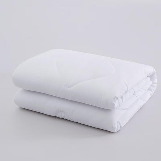 【多样屋专柜】罗莱七孔云柔四季被200*230cm 商品图3