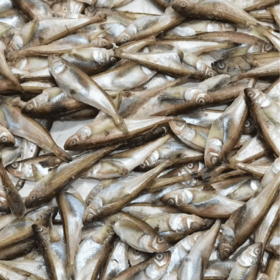 玲儿家小菜 银条鱼500g 령이네집반찬 북조선은어500g
