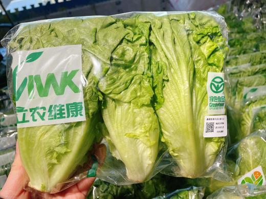 意大利生菜一袋 商品图0