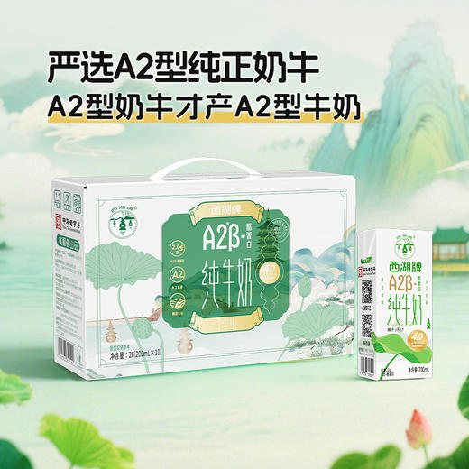 【快递直达】西湖牌钻石包A2β-酪蛋白纯牛奶200mL*10盒*1箱 商品图1