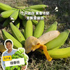 生态皇帝蕉 | 绿家自产 * Eco- King Banana | In-House Production 商品缩略图0