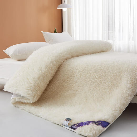 【多样屋专柜】悠梦嘉居澳洲羊毛床垫抗菌保暖舒适柔软米黄180*200cm 商品图1