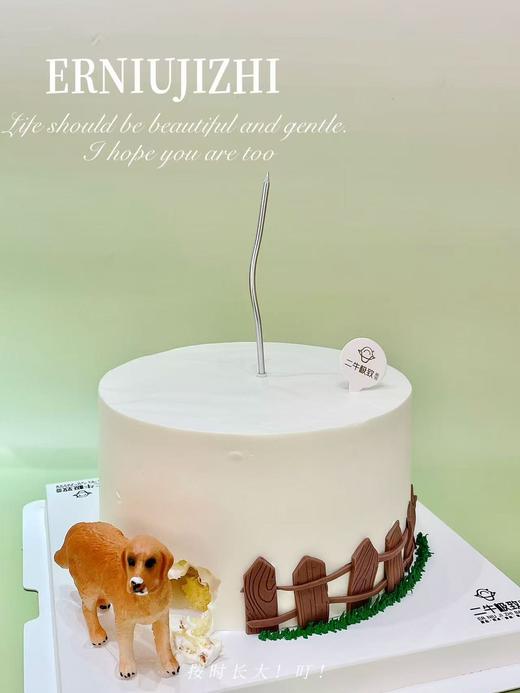 捣蛋狗 商品图2