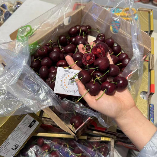 单J果 拉宾斯车厘子 商品图1