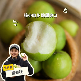 生态青枣（包邮） | 绿家自产*Eco-Green jujube | In-House Production