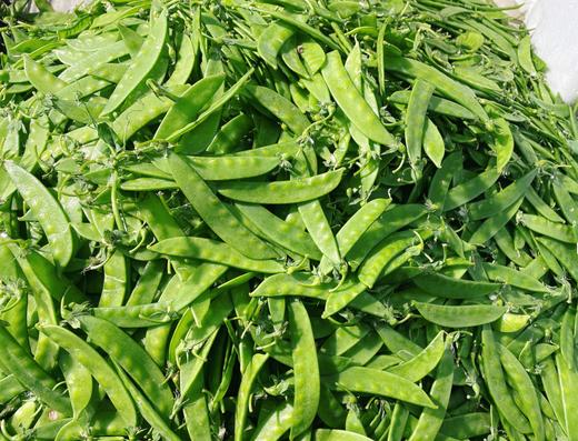 荷兰豆一斤 商品图0