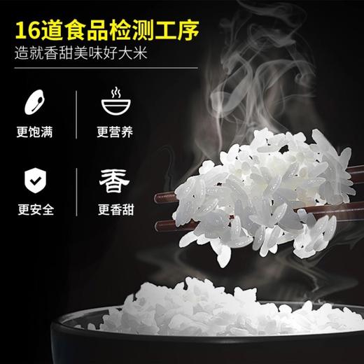 【严选】湖北江陵天天旺江汉大米（两面真空红色）5KG 商品图4