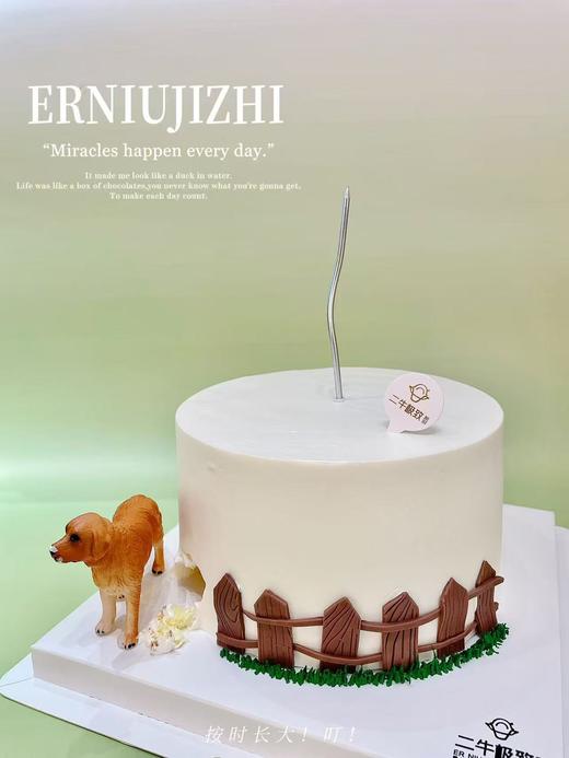 捣蛋狗 商品图1