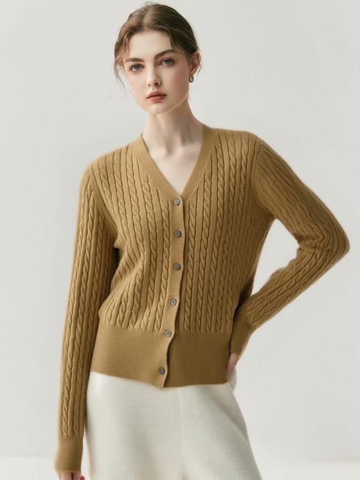 女王节抢购价-不支持退【超美毛衣】V领软麻花～Z103韩版六粒扣麻花修身开衫毛衣-喜出 商品图1