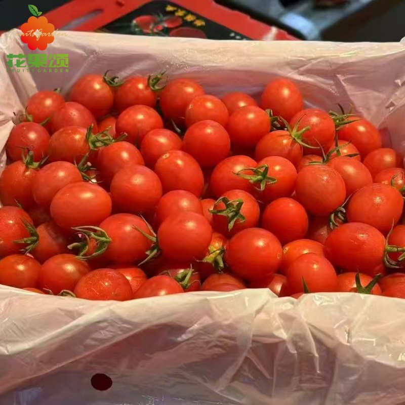 电白千禧一箱 约2.6斤