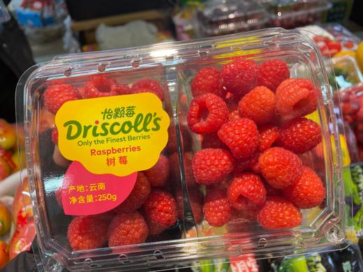 树莓一盒 商品图0