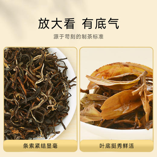 嘉典水黄茶毛尖150g/盒 商品图2