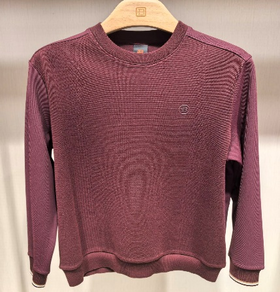 BOSSSUNWEN 卫衣 15323165559055【男服】【广百北京路店】