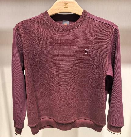 BOSSSUNWEN 卫衣 15323165559055【男服】【广百北京路店】 商品图0