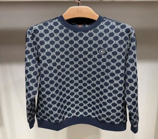 BOSSSUNWEN 卫衣 15313165579082【男服】【广百北京路店】 商品图0