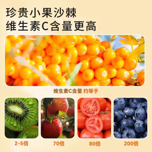 【吕梁野山坡沙棘原浆】雪中小果 野生沙棘 鲜果生榨 高VC原浆（2.10-2.23停发） 商品图1