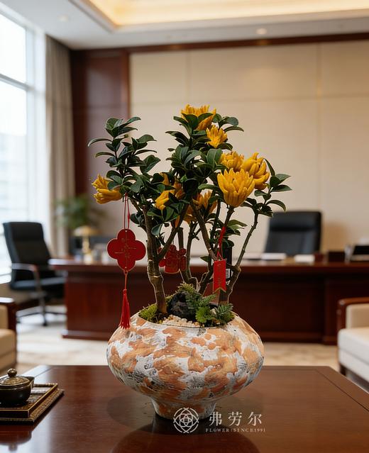 伯乐相马-金佛手5 商品图0