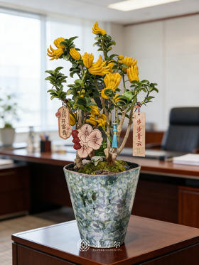 龙马精神-金佛手7