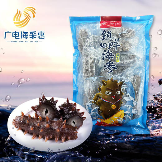 【自营】【广电定制】广电海采惠大连即食辽刺参  开袋即食 商品图0