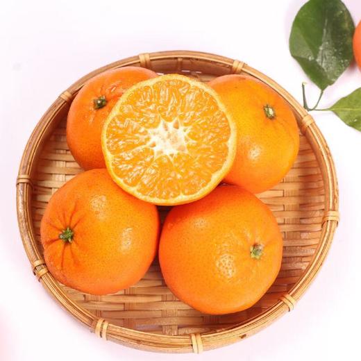 糖果柑1.2kg/袋 (果径50-55mm） 商品图2