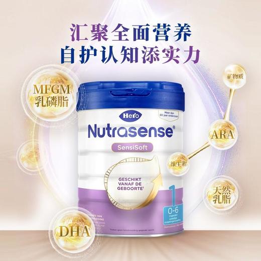 【云优选】荷兰HeroBaby白金版1段 800g 商品图0