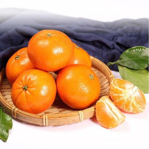 糖果柑1.2kg/袋 (果径50-55mm） 商品图1