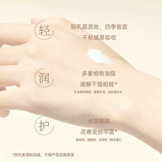 挚物志 植萃香氛护手霜 青木苔 50g 商品图6