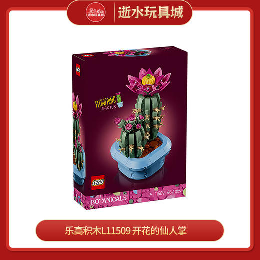 乐高积木L11509
开花的仙人掌 商品图0