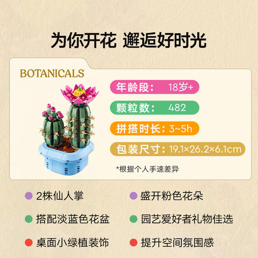 乐高积木L11509
开花的仙人掌 商品图1